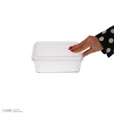 ظرف سرو بیسکوییت لیمون مدل درب آکرولیک کد DH2260